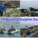 4/14 National Dolphin Day