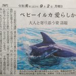 熊日新聞に天草の野生イルカの写真を提供しました。生まれたてのイルカの赤ちゃん！