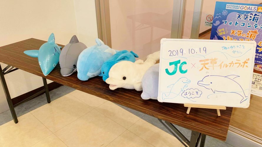 JC 天草本渡　青年会議所と天草イルカラボがSDGsをテーマにコラボイベント　子どもたちと楽しむイルカの海