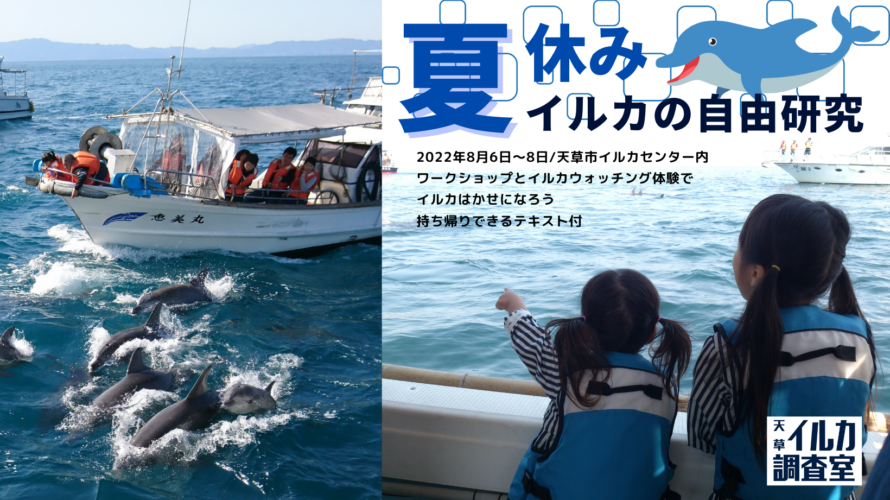 天草市イルカセンター　夏のイルカプログラム発表！第2弾は【イルカの自由研究をしよう！】