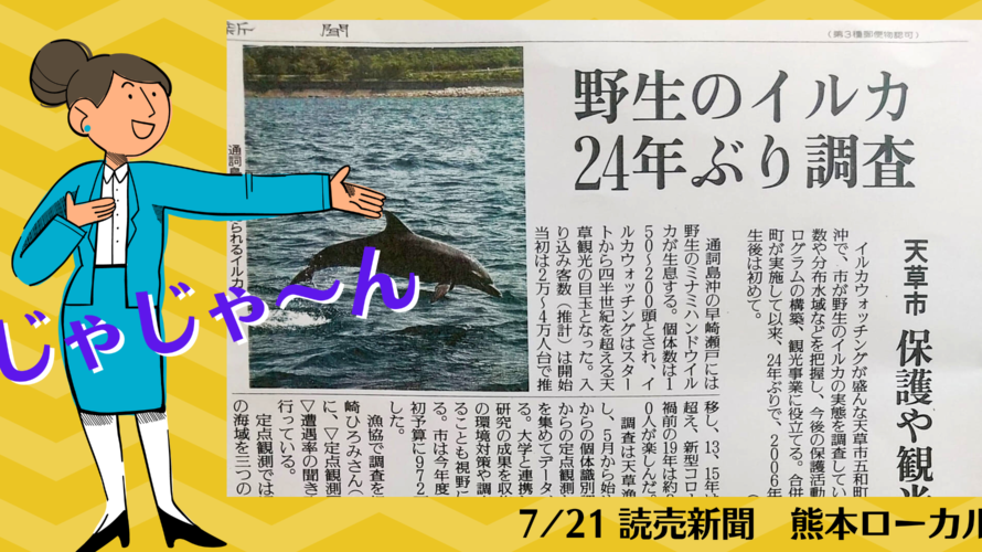 2022.7.21 読売新聞（熊本）に、天草イルカ調査室の記事が掲載されました。