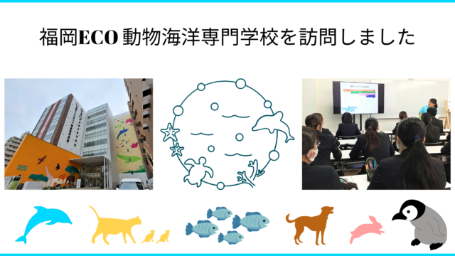 6/14 福岡ECO動物海洋専門学校を訪問、イルカインターンプログラムの紹介をしてきました