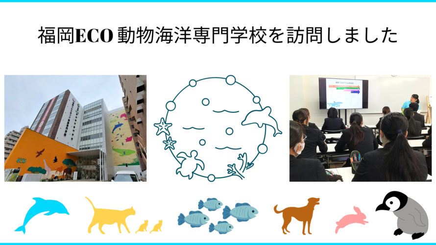 6/14 福岡ECO動物海洋専門学校を訪問、イルカインターンプログラムの紹介をしてきました