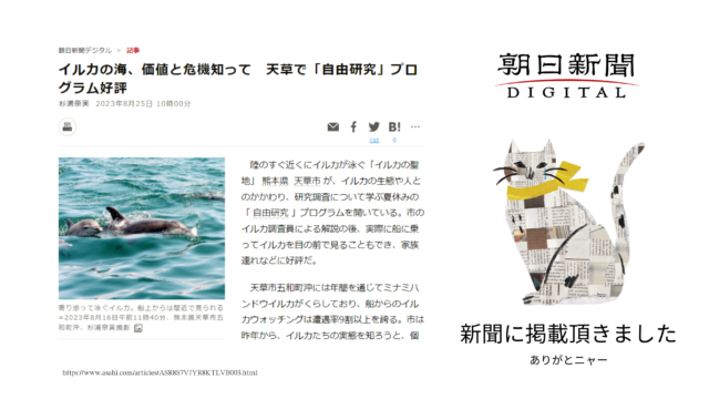 8.25 朝日新聞 熊本ローカルページにて、夏休みイルカプログラムについての記事が掲載されました