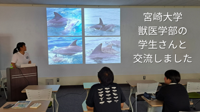 11.12 宮崎大学 獣医学部の学生さん対象の出張イルカ講座を開催しました（前編）