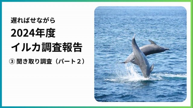 Amakusa Wild Dolphins Report  聞き取り調査結果  (2)